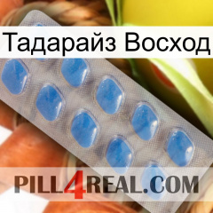 Тадарайз Восход 22